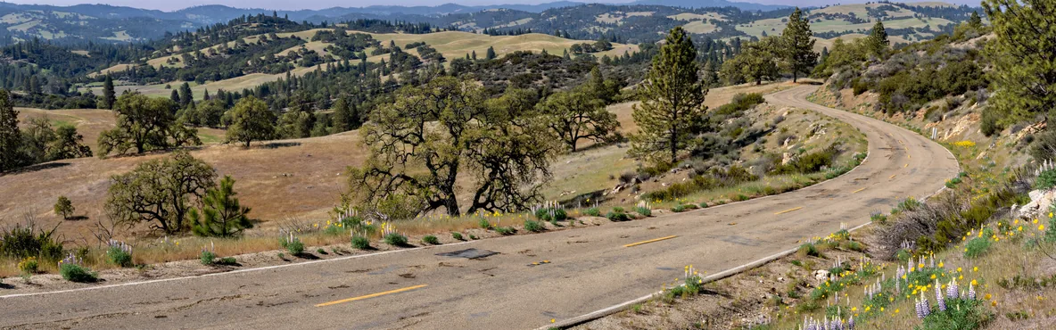 Hit the Road: Memorable Road Trips from Coulterville, CA